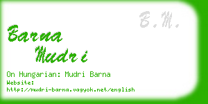 barna mudri business card